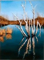 /album/fotogalerij-natuur-op-enkele-doeken/landschappen-jpg/