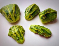 /album/fotogalerij-kikkers/image-6-jpg5/