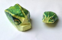 /album/fotogalerij-kikkers/image-4-jpg5/