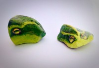 /album/fotogalerij-kikkers/image-88-jpg/