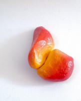 /album/vrije-beschilderingen/image-5-jpg/